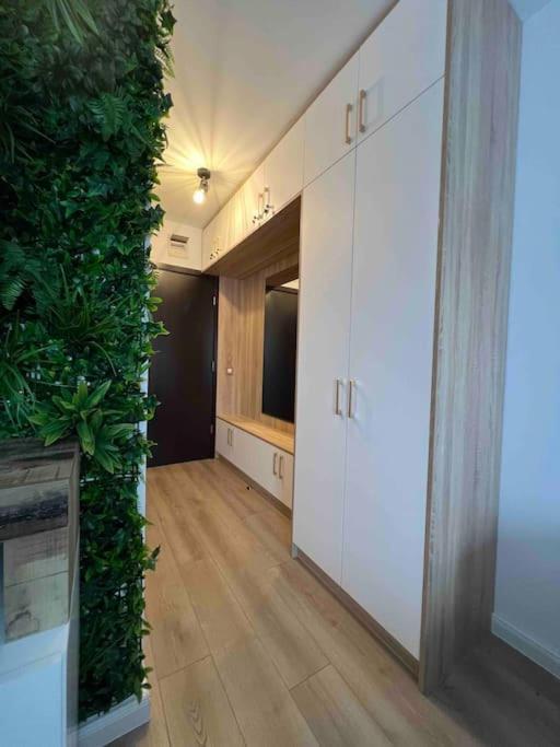 Cosy Appartement Green Life Bansko Esterno foto