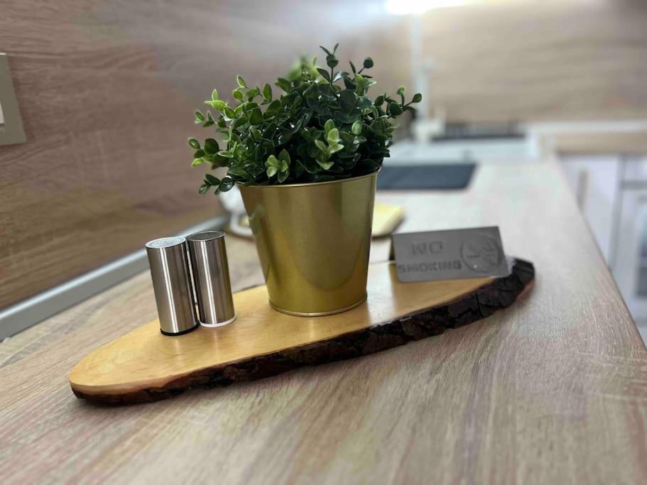 Cosy Appartement Green Life Bansko Esterno foto