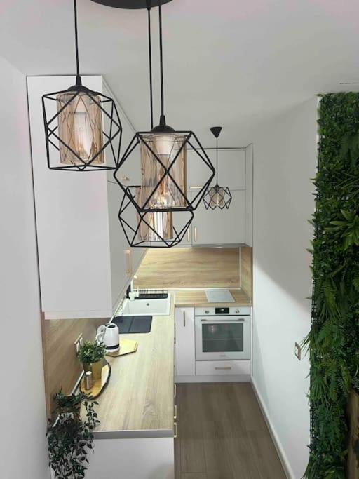 Cosy Appartement Green Life Bansko Esterno foto